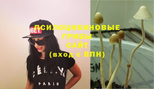меф Арсеньев