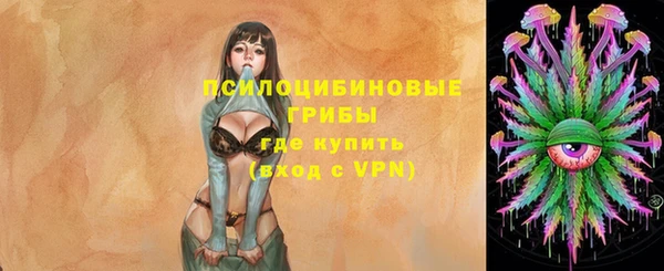 альфа пвп Няндома