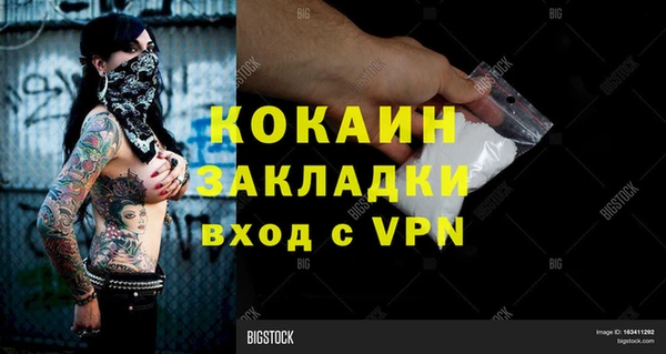 индика Армянск