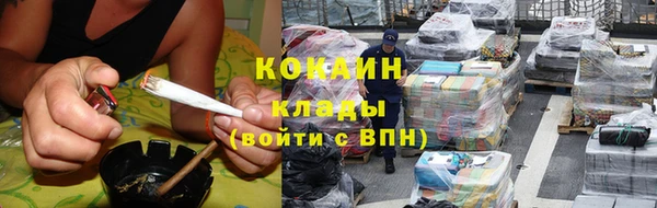 индика Армянск